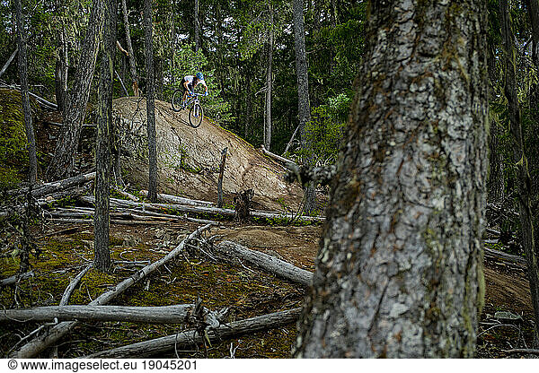 Woman mountain biking in forest  Lost Lake Trails  Whistler  British Columbia Ã¢â?¬Â Canada