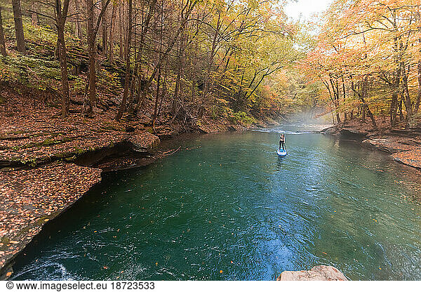 Woman paddle boarding in a fall scene on a clear river