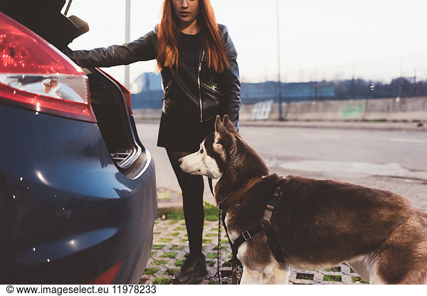 Woman persuading dog into car boot