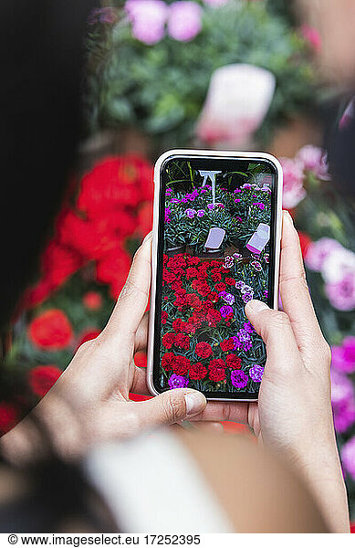 Woman photographing flowers at plant nursery
