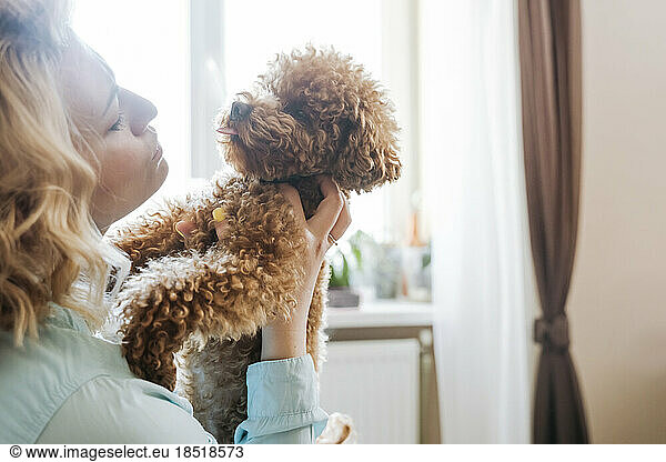 Woman playing with cute brown dog at home