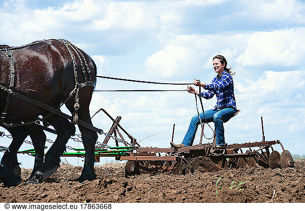 Woman plowing a field with a team of four black Percheron horses.