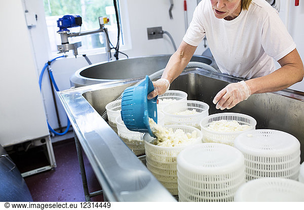 Woman preparing cottage cheese in commercial kitchen