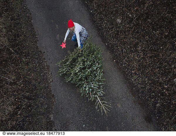 Woman pulling Christmas tree on footpath