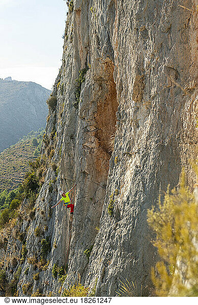 Woman rock climbing near Bolulla village  Alicante.  Spain