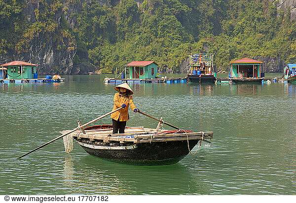 Woman rowing boat near Vung Vieng Fishing Village in Bai Tu Long Bay  Vietnam; Vung Vieng  Bai Tu Long Bay  Vietnam
