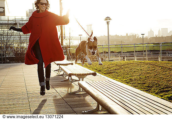 Woman running with dog jumping on benches at park