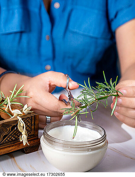 Woman's hands cutting rosemary for preparation of alternative products