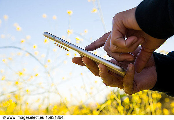 woman's hands holding and using cell phone outdoors in flower field