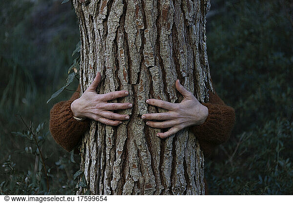 Woman's hands hugging tree in forest