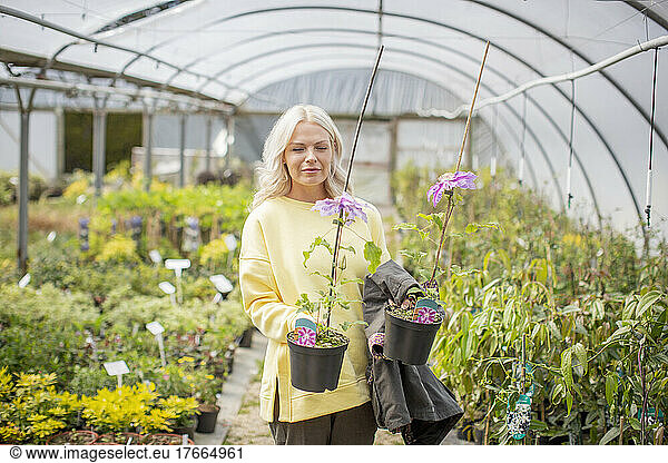 Woman shopping for clematis flowers in greenhouse