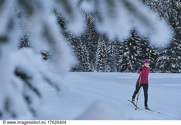 Woman skiing by pine trees in winter forest