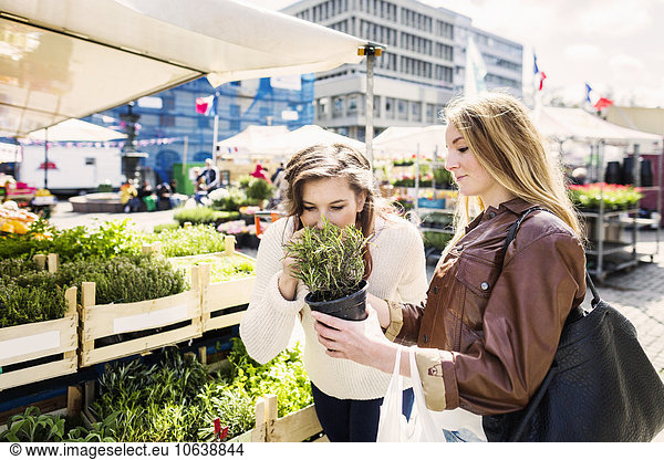 Woman smelling potted plant held by friend while shopping at market