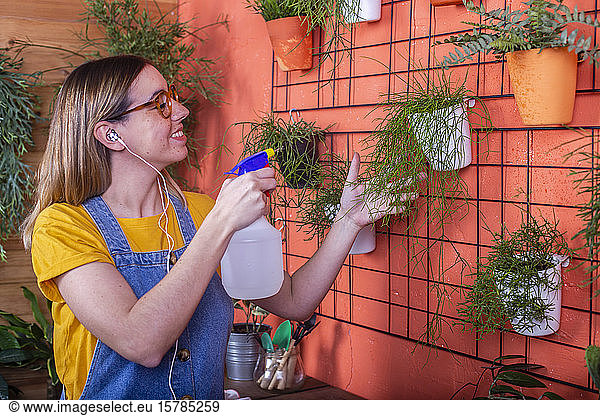 Woman spraying water on Rhipsalis plant on her terrace