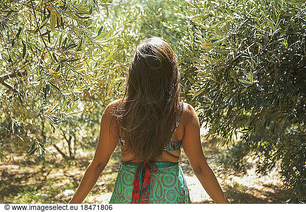Woman standing amidst olive trees on sunny day