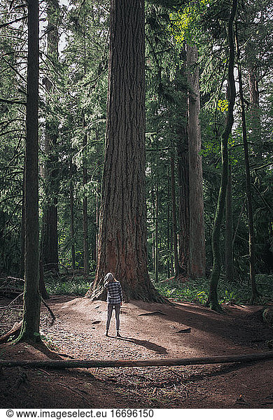 Woman standing and looking up at Douglas in forest of macmillan