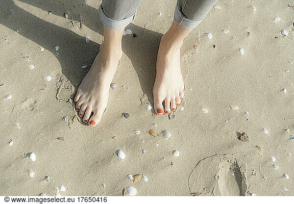 Woman standing barefeet on sand with seashells at beach