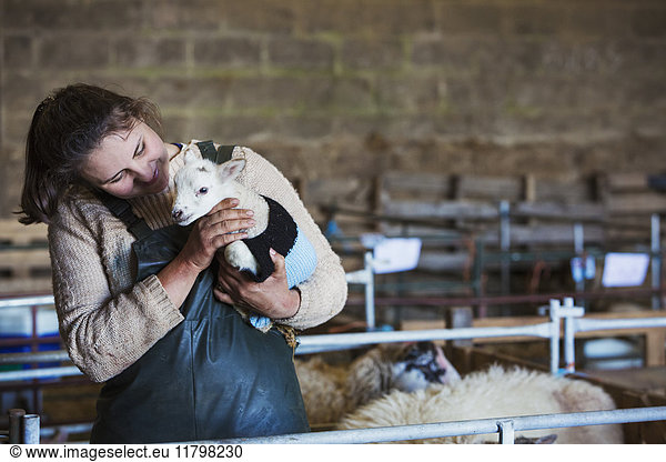 Woman standing in a barn  holding a newborn lamb dressed in a knitted jumper.