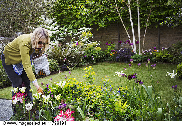Woman standing in a garden looking at flowers in a flowerbed.