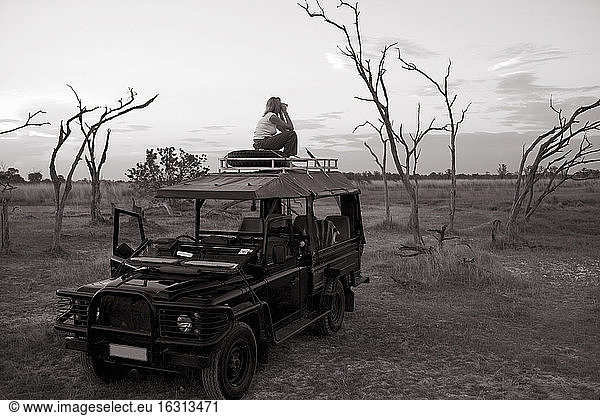 Woman standing on top of 4x4 parked in the Moremi Reserve  Botswana.