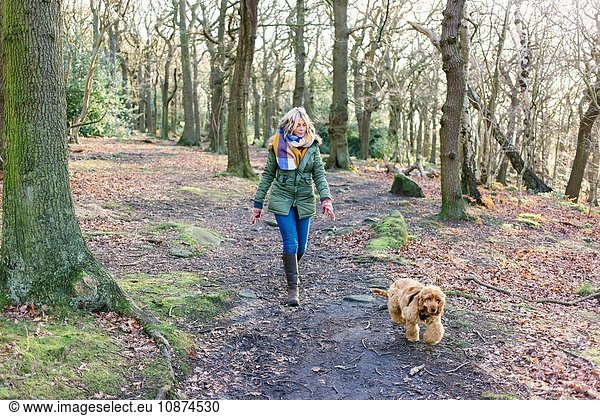 Woman taking puppy for walk in forest
