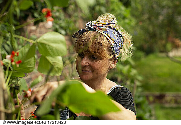 Woman tending to plants in garden