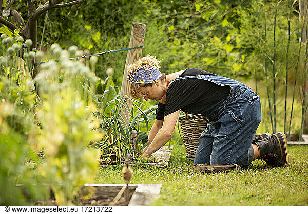 Woman tending to plants in summer vegetable garden