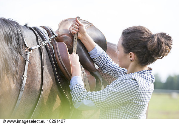 Woman tightening horse saddle for horseback riding