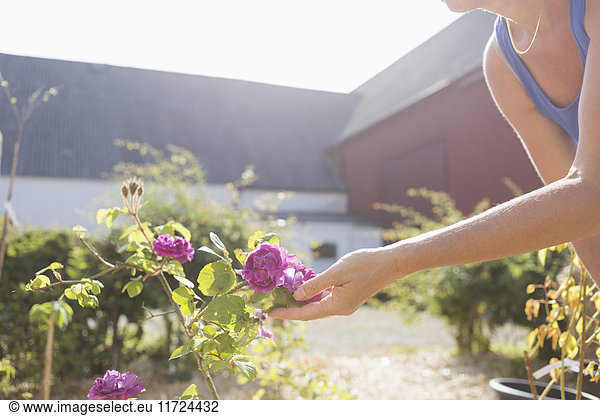 Woman touching flower in garden