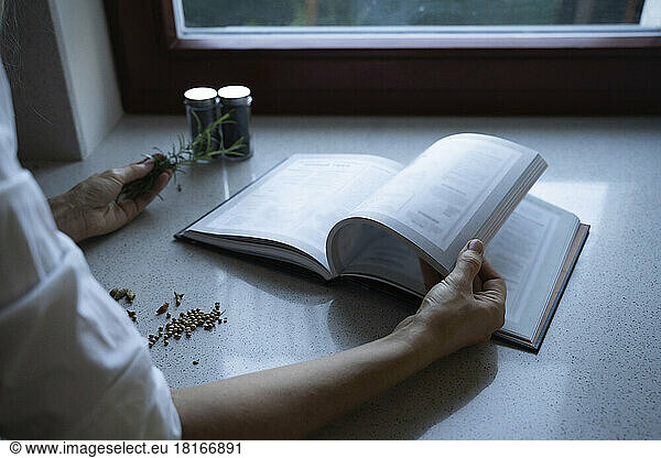 Woman turning pages of cook book with rosemary in hand