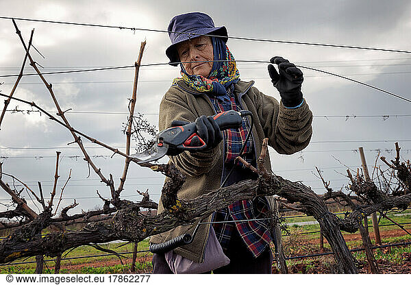 woman vintage grape prune wine