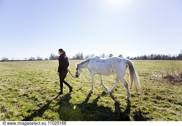 Woman walking with horse on field against clear sky