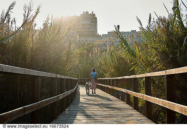 Woman walks with her dog on a wooden catwalk towards the city