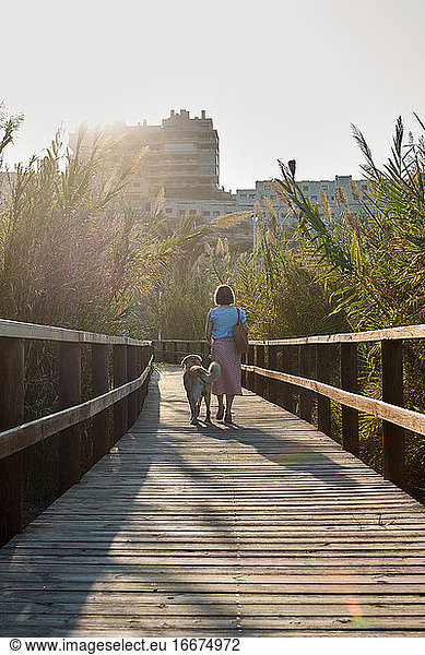 Woman walks with her dog on a wooden catwalk towards the city