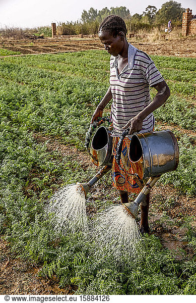 Woman watering a vegetable garden in Loumbila  Burkina Faso.