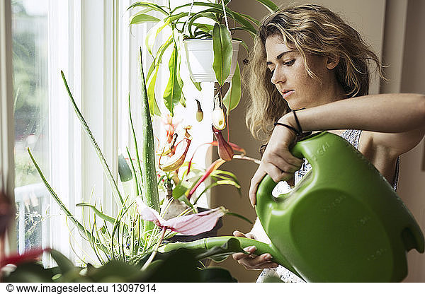 Woman watering potted plants on window