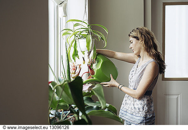 Woman watering potted plants on window at home