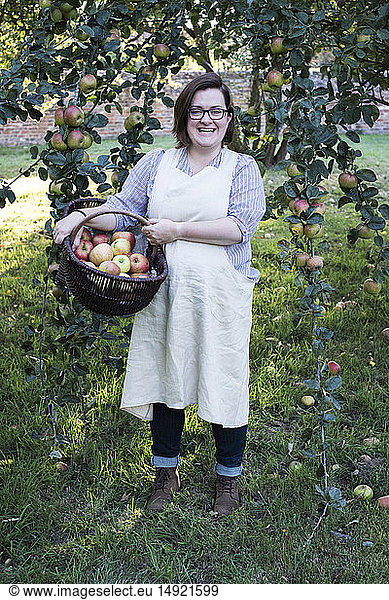 Woman wearing apron holding brown wicker basket with freshly picked apples  smiling at camera.