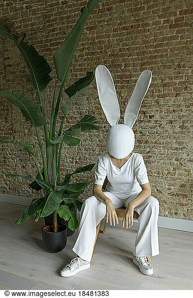 Woman wearing rabbit mask sitting on chair near brick wall