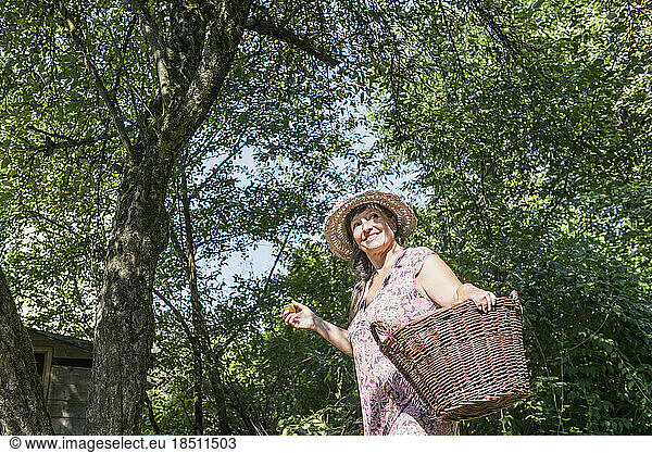 Woman with an apple and basket in garden  Altötting  Bavaria  Germany