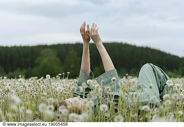 Woman with arms raised lying on dandelion field