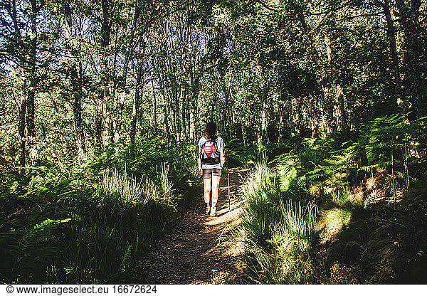 woman with backpack walking on a path in the middle of the forest