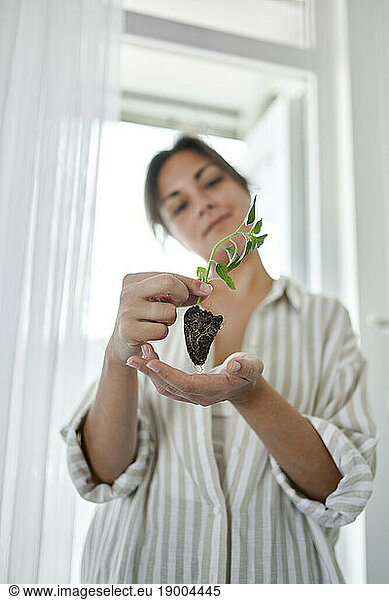 Woman with basil sprout standing at home