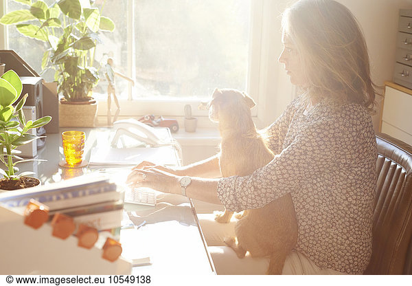 Woman with dog on lap typing on keyboard in sunny home office