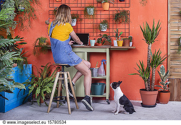 Woman with dog using laptop on her terrace