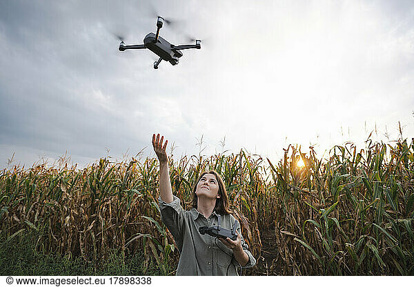 Woman with remote control operating drone in maize field
