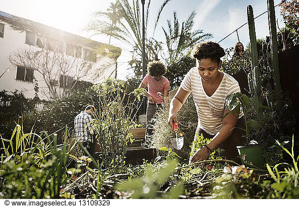 Woman working with friends in community garden