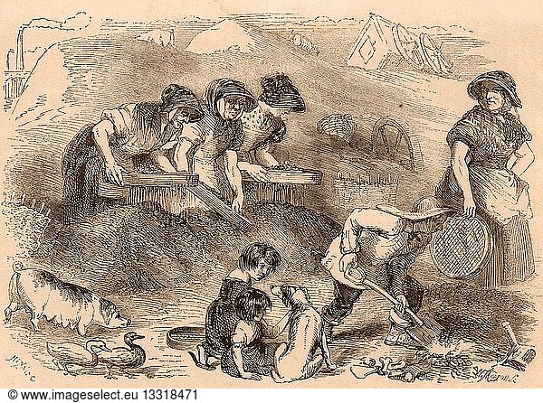Women and children sifting household refuse in a dust yard in order to salvage anything that could be recycled  such as the pile of bones in the right foreground which would be taken to the glue factory. Engraving from 'London Labour and the London Poor' by Henry Mayhew (London  1861).