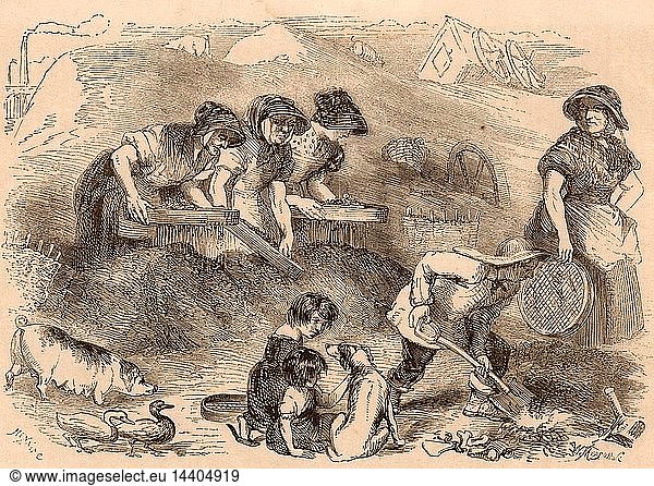 Women and children sifting household refuse in a dust yard in order to salvage anything that could be recycled  such as the pile of bones in the right foreground which would be taken to the glue factory. Engraving from "London Labour and the London Poor" by Henry Mayhew (London  1861).