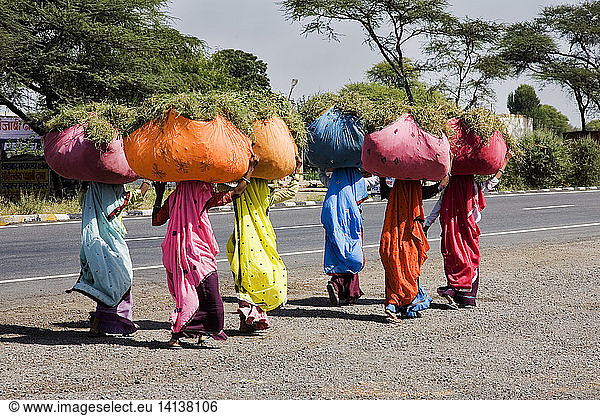 Women Carrying Grass  India